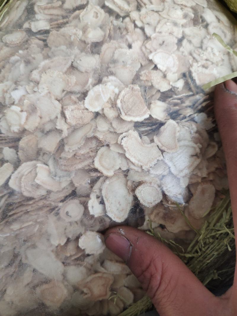 西洋参花旗参次片二级片大量现货批发一手货源产地直发价格低