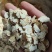 西洋参花旗参次片二级片大量现货批发一手货源产地直发价格低