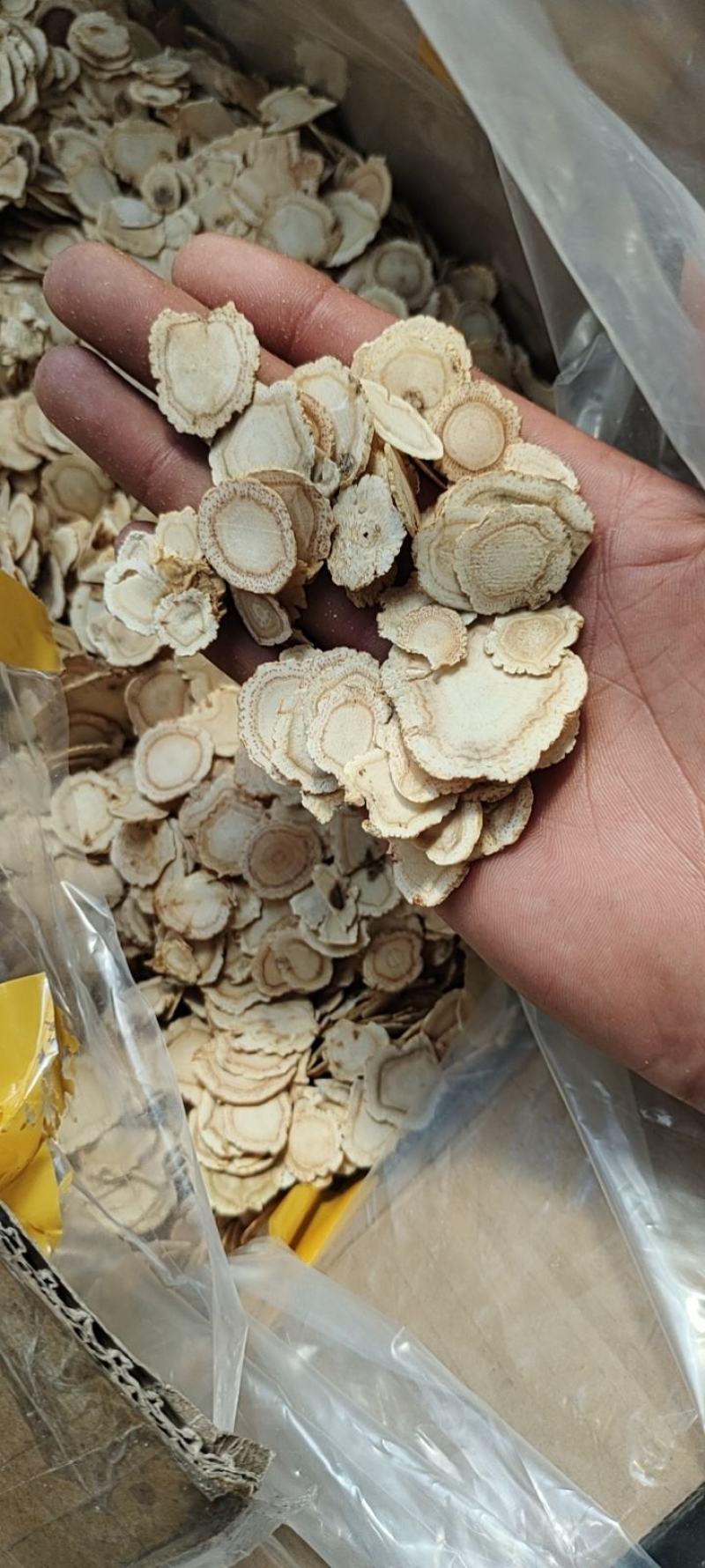 西洋参花旗参次片二级片大量现货批发一手货源产地直发价格低