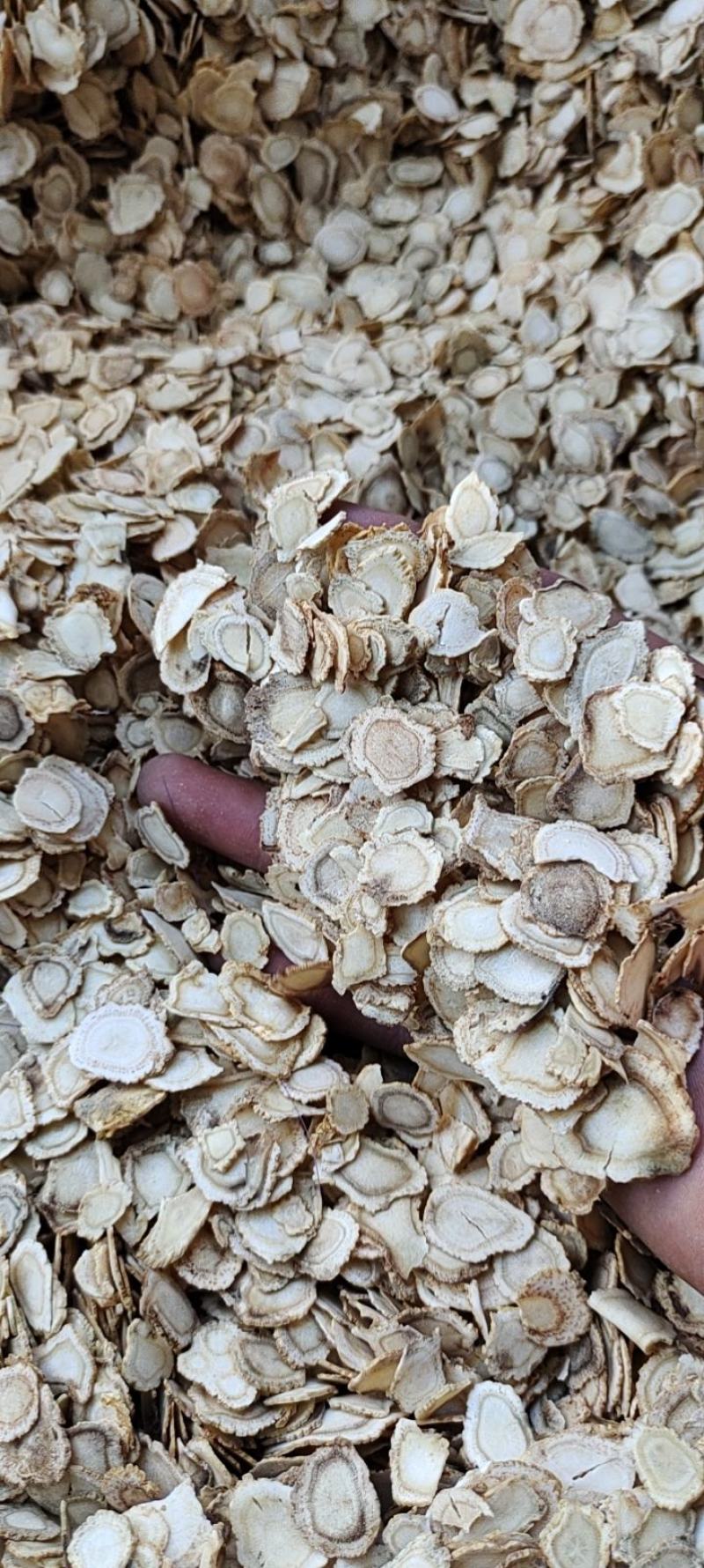 西洋参花旗参次片二级片大量现货批发一手货源产地直发价格低