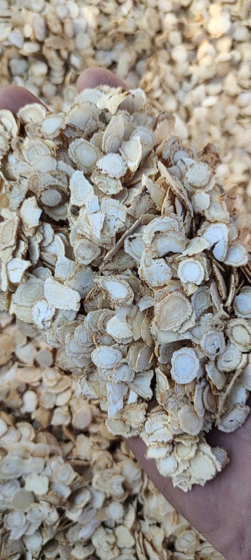 西洋参花旗参次片二级片大量现货批发一手货源产地直发价格低