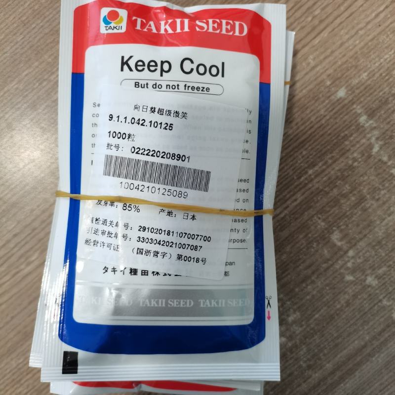 盆栽向日葵—超级微笑，日本坂田公司种子，原装进口，现货发