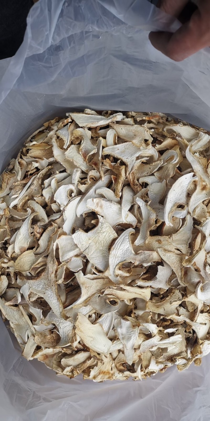 云南特产老人头干片老家产地货源大量供应