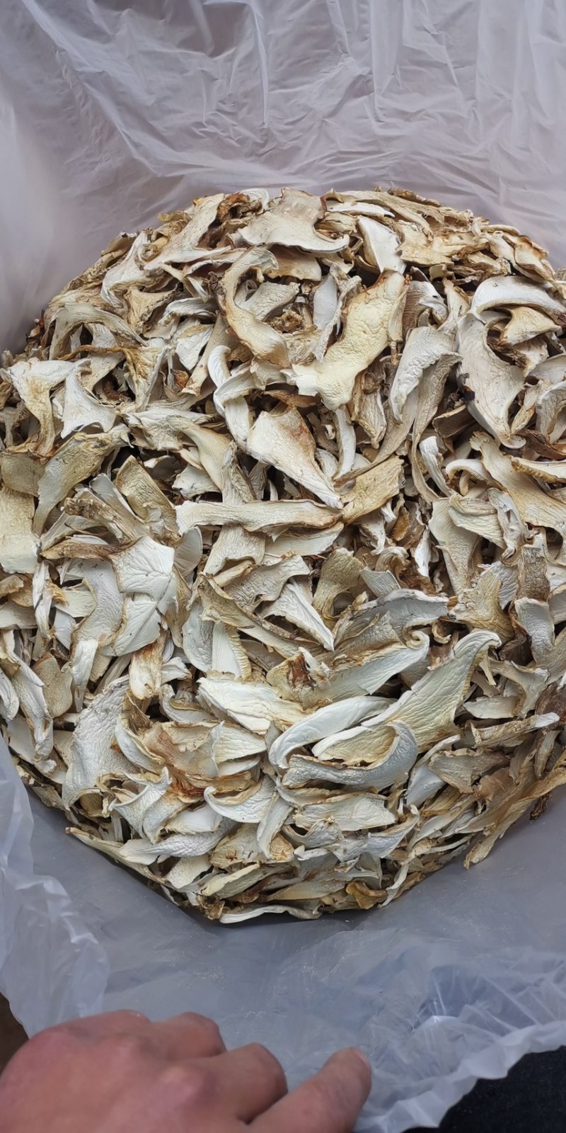 云南特产老人头干片老家产地货源大量供应