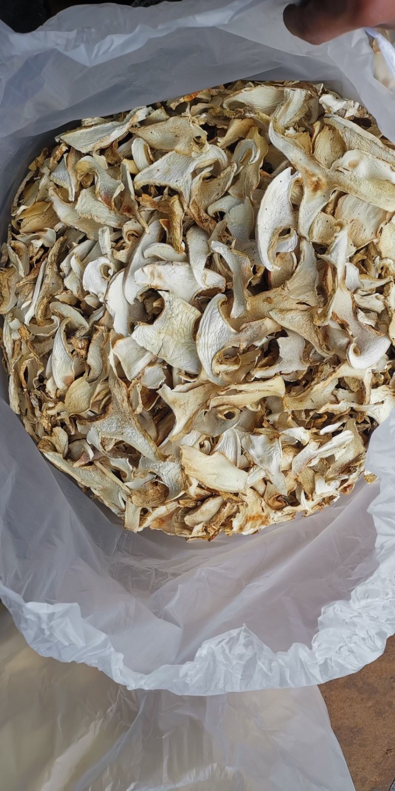 云南特产老人头干片老家产地货源大量供应