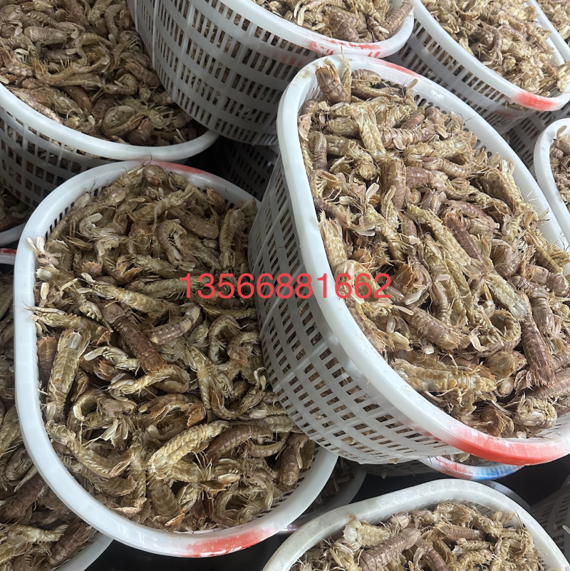 皮皮虾批发