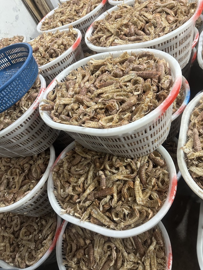 皮皮虾批发