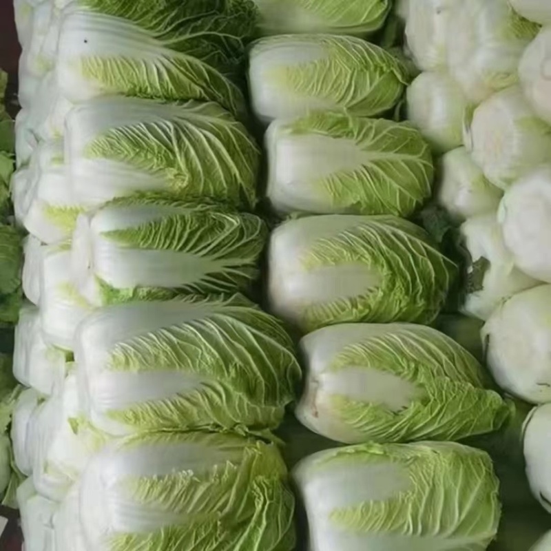 各种蔬菜