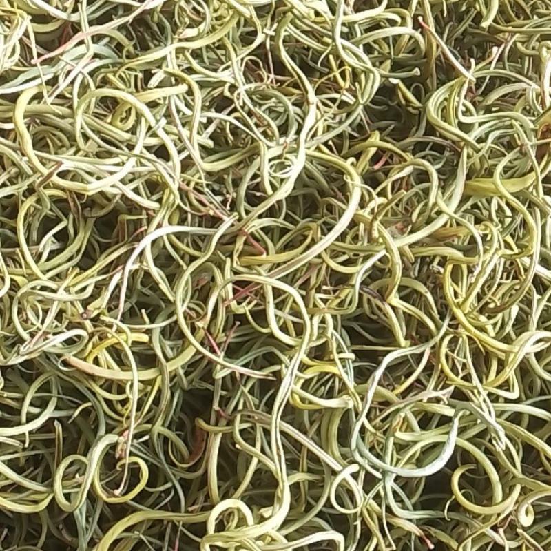 肾精茶腰酸背痛不起劲就用它化石草