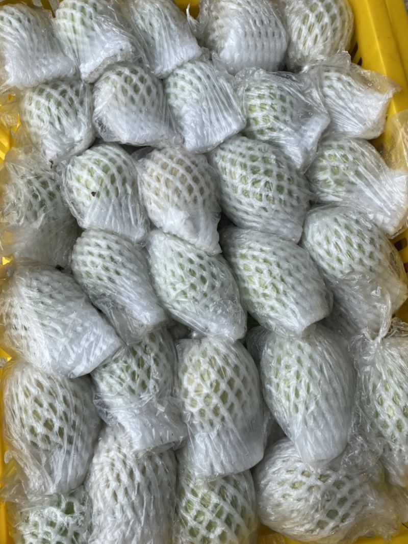 广西红心芭乐番石榴