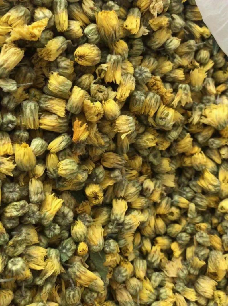 菊花茶胎菊王500g散装桐乡正宗杭白菊花茶不特级菊花茶贡
