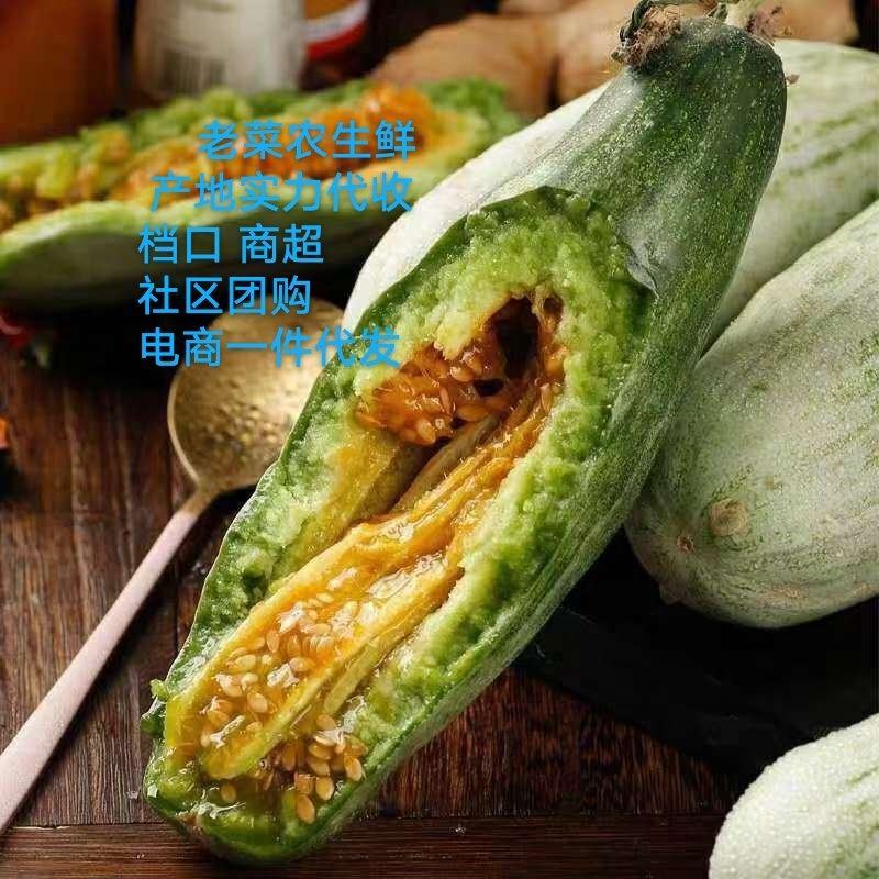 一件代发羊角蜜61博洋72蜜源18博洋9品种齐全产地代办