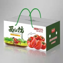 陕西水果西红柿普罗旺斯基地直发全国代发