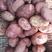 合作88云南新土豆，可做电商市场出口，袋装箱装。