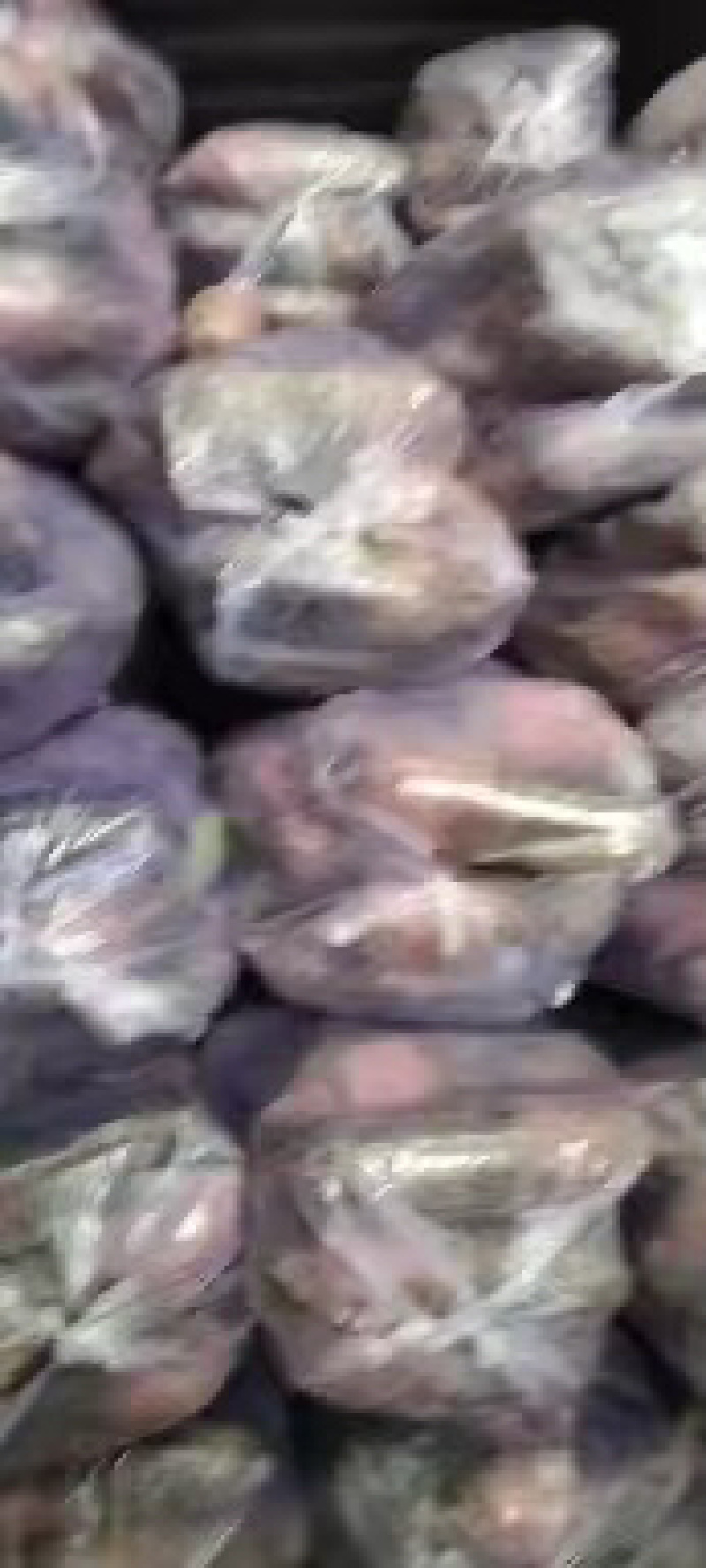 【推荐】山东潍坊青州三色萝卜大量有货，品质有保障，欢迎