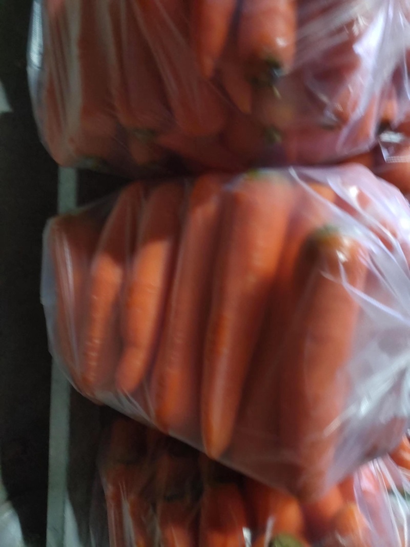 【推荐】山东潍坊青州精品胡萝卜，大量上市，欢迎采购