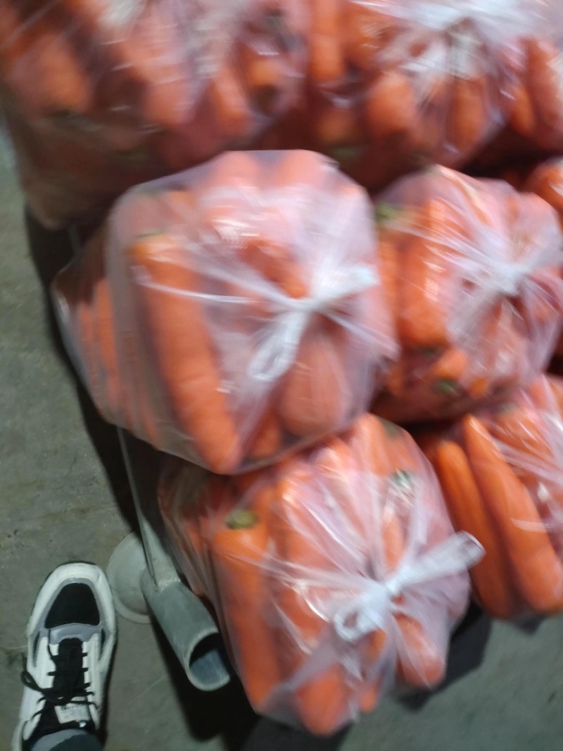【推荐】山东潍坊青州精品胡萝卜，大量上市，欢迎采购