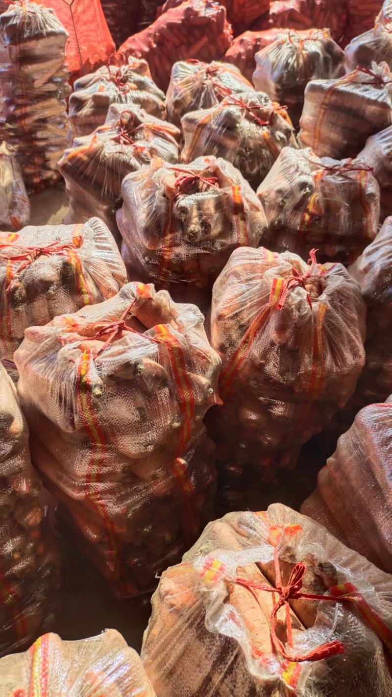 开封三红胡萝卜条形好水洗加工原产地发货质量保障