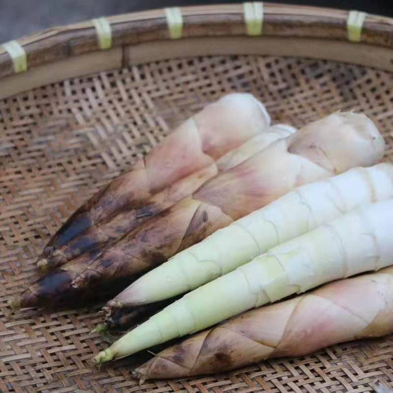 临安天目雷笋新鲜应季现挖竹笋嫩笋尖去根春笋