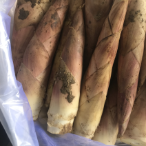 临安天目雷竹笋原产地发货量大的联系价格可谈
