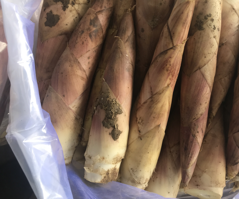 临安天目雷竹笋原产地发货量大的联系价格可谈
