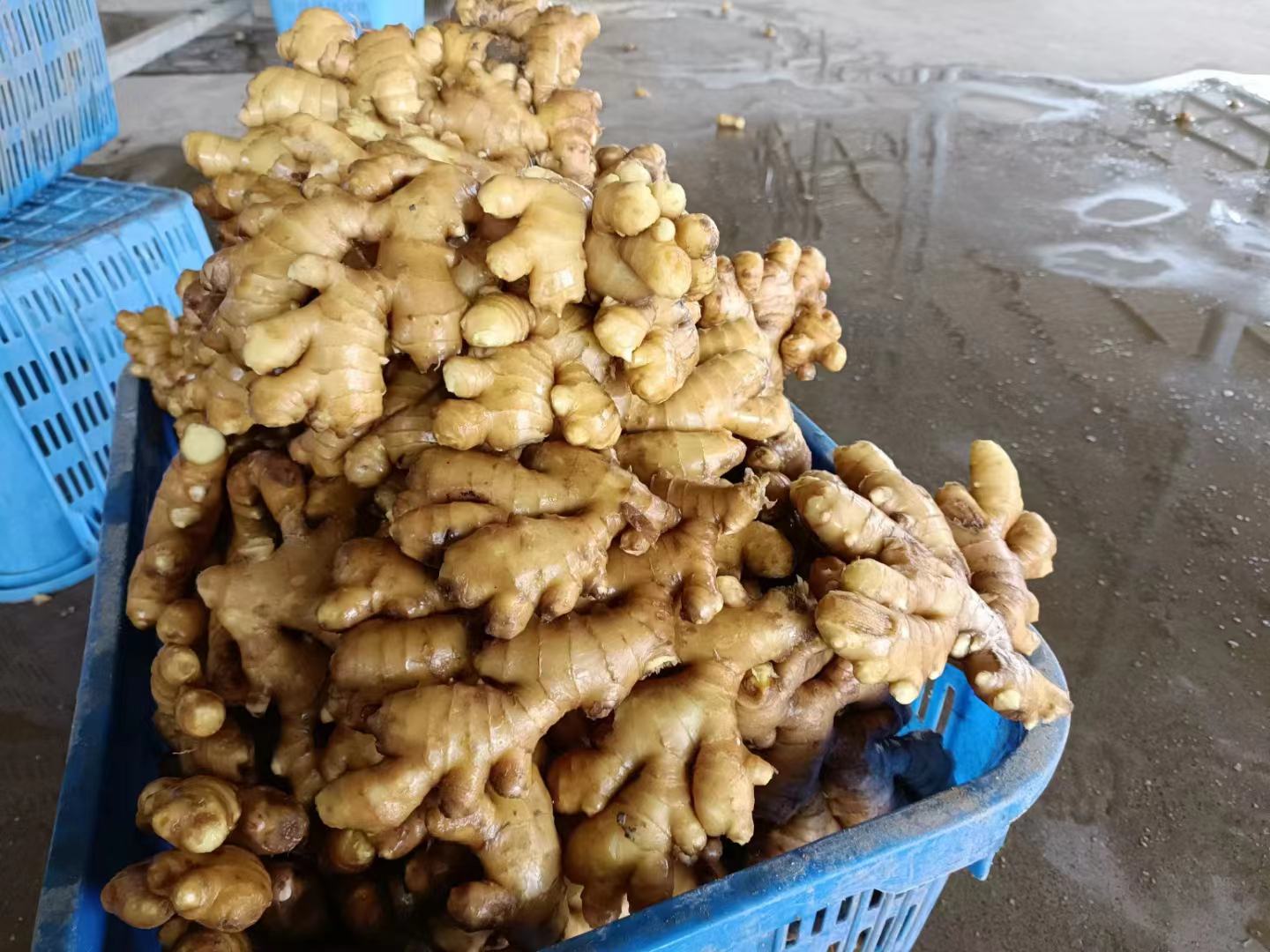 大黄姜泡脚场景