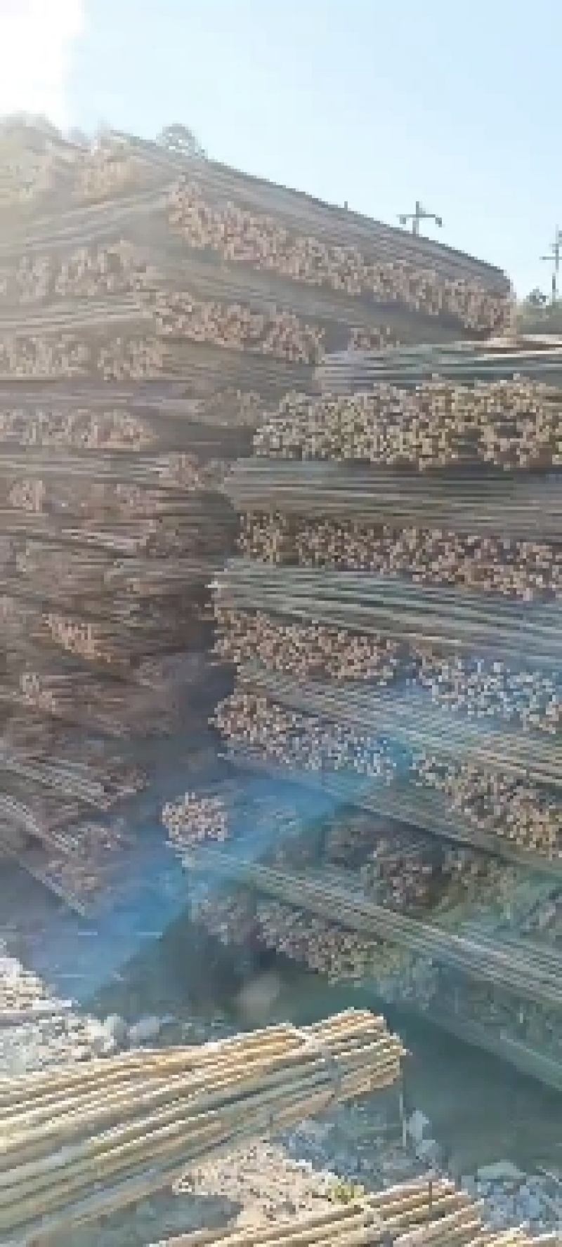 竹竿，金竹，山竹，豆角竹，黄瓜杆，西红柿杆