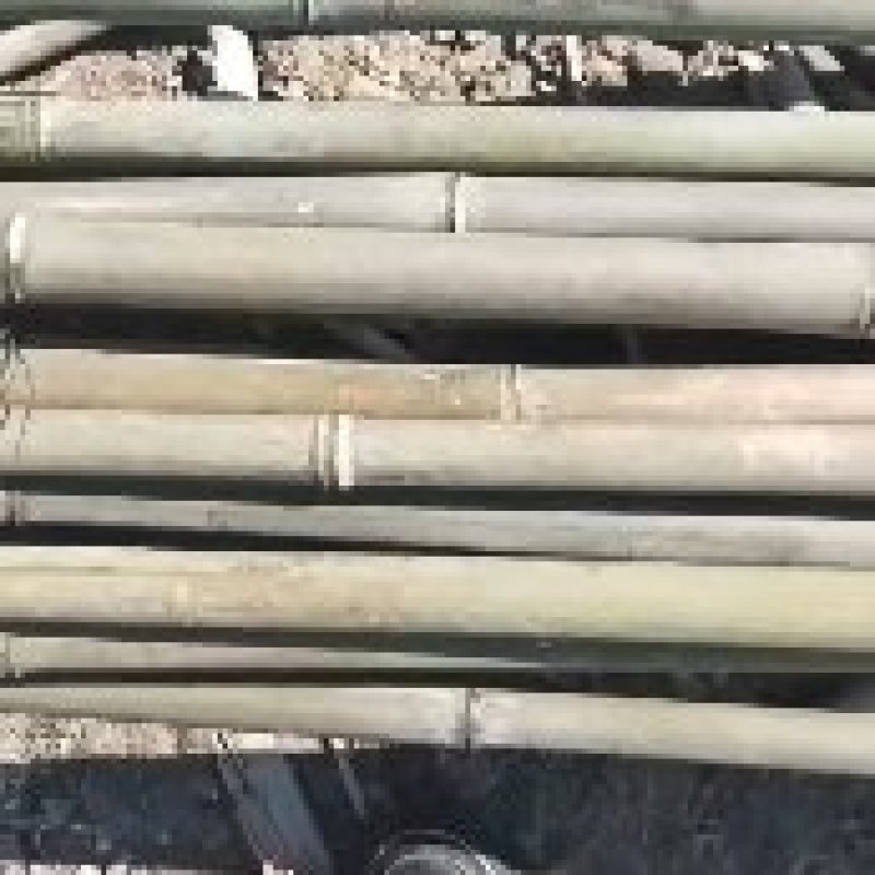 竹竿，金竹，山竹，豆角竹，黄瓜杆，西红柿杆