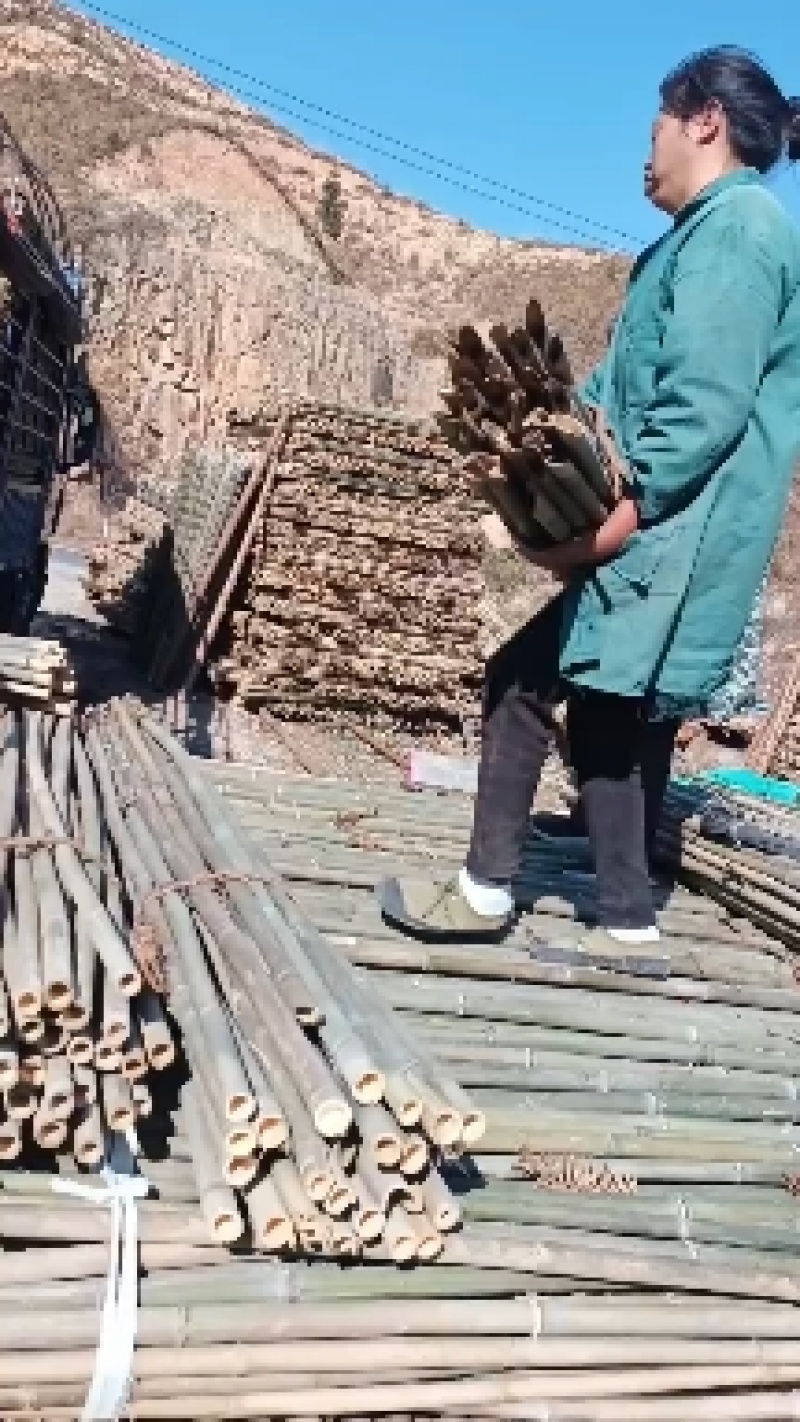 竹竿，金竹，山竹，豆角竹，黄瓜杆，西红柿杆