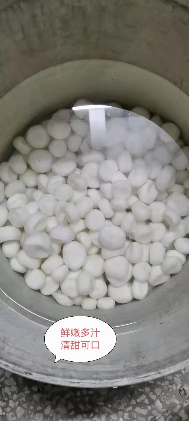 桂林高田马蹄开卖啦，大量供应能帮削皮，可发快递