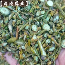 【槲寄生】新货颜色好干净无杂.中药材批发.质量保证规格