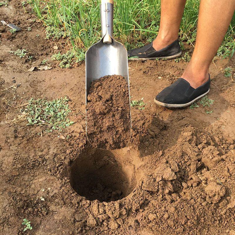 洛阳铲锰钢考古勘探挖电线杆打桩挖坑山药农用工具铁铲子挖洞