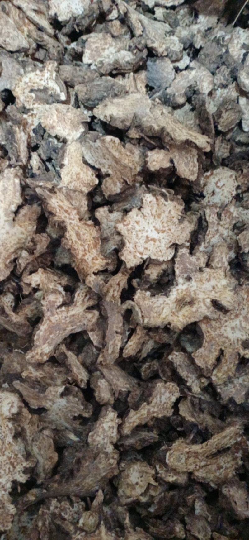 【苍术】炒苍术..中药材批发.质量保证规格齐全.