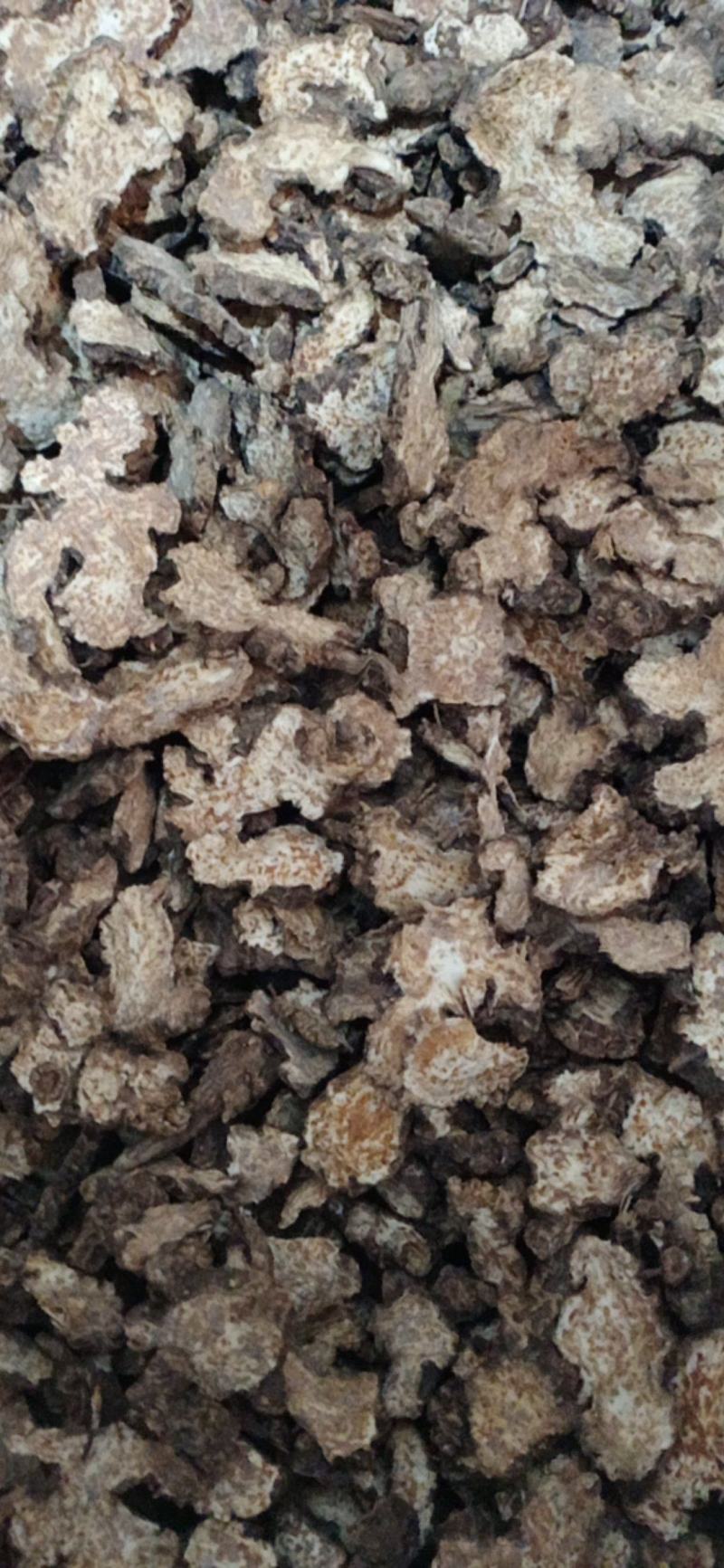 【苍术】炒苍术..中药材批发.质量保证规格齐全.