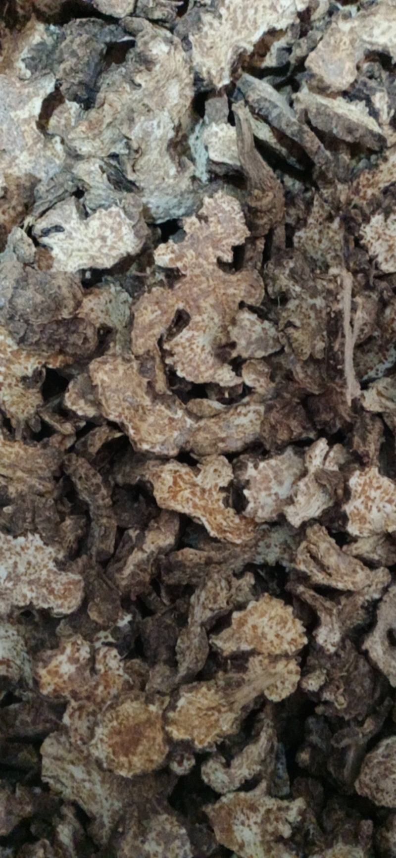 【苍术】炒苍术..中药材批发.质量保证规格齐全.