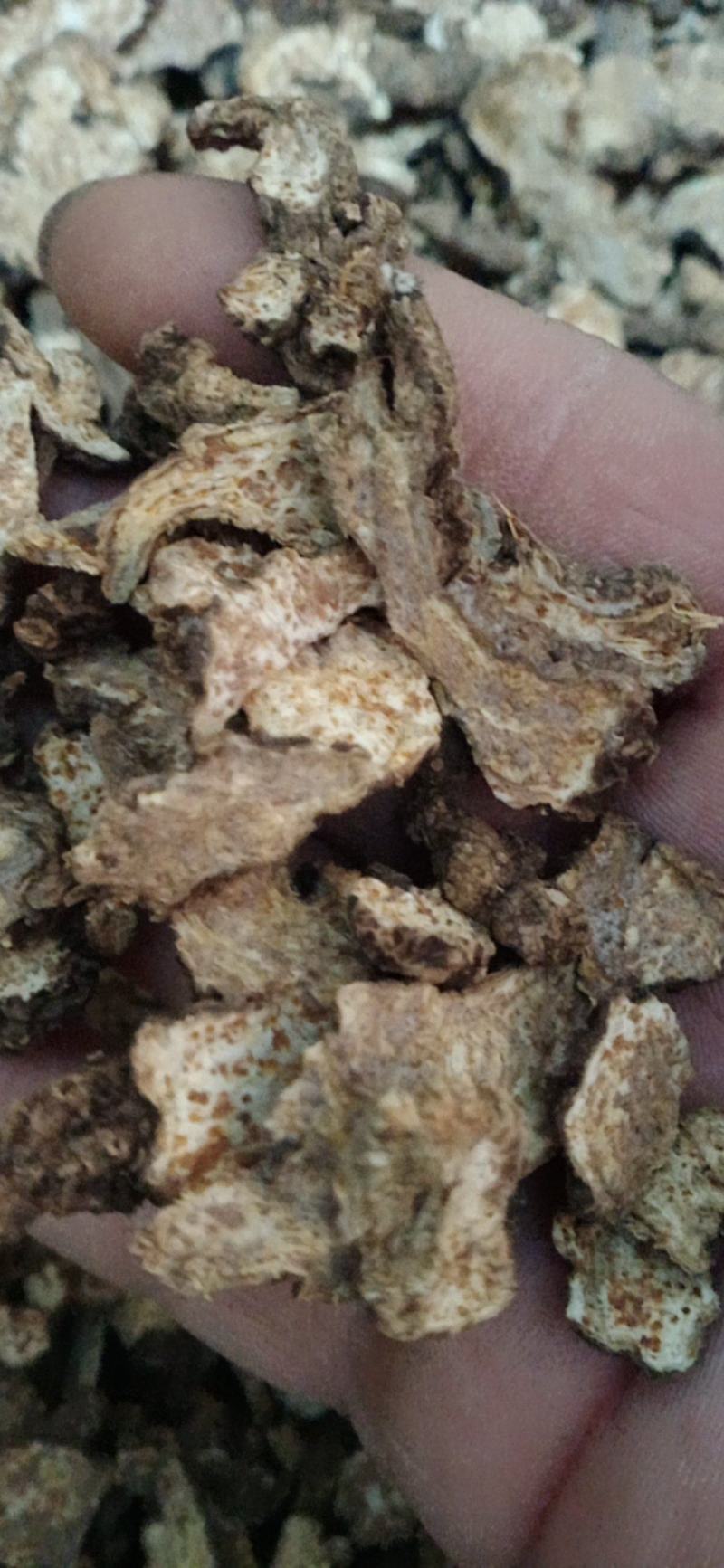 【苍术】炒苍术..中药材批发.质量保证规格齐全.