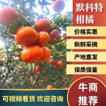 【优选】万州默科特柑橘三月红产地现摘现发品质全国发货