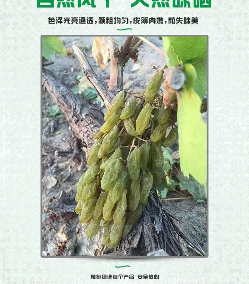 新疆吐鲁番绿香妃葡萄干