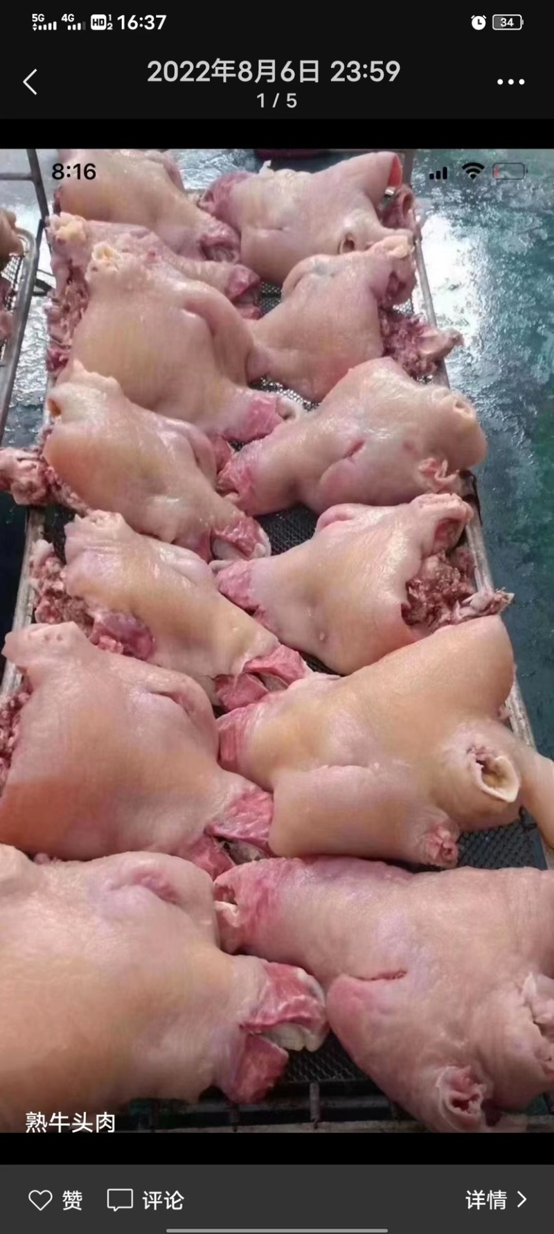 牛头肉牛脸整个牛头肉山东鲁西黄牛牛头肉一手货源