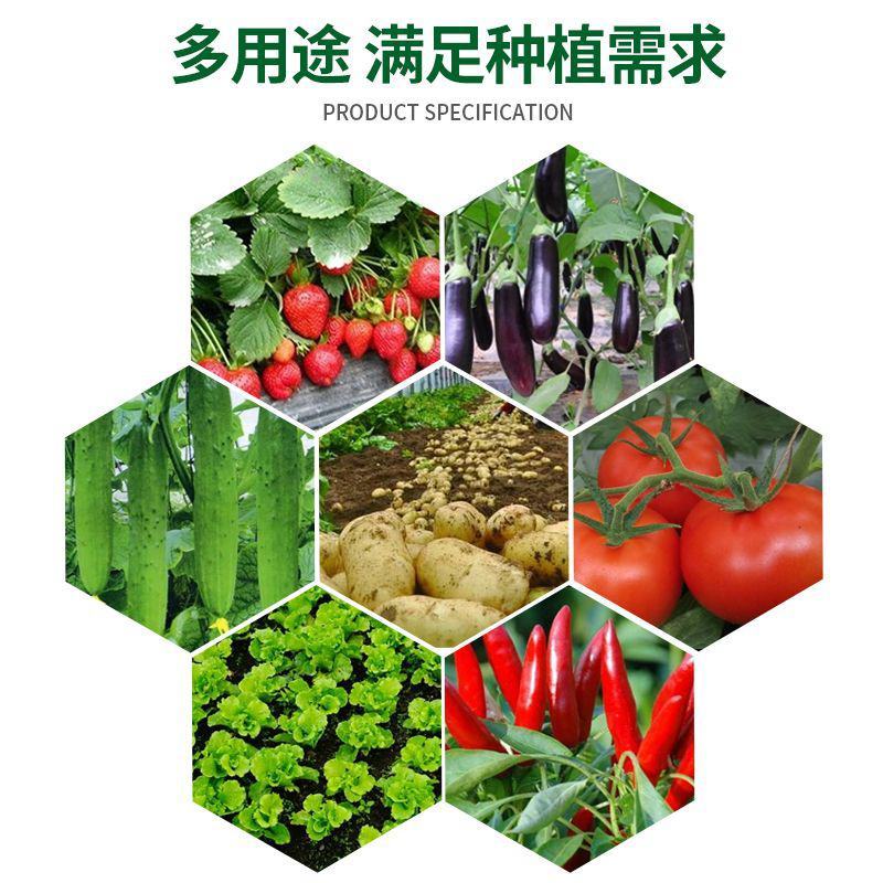 无纺布美种植袋特大楼顶种菜防腐木种植花箱阳台加厚蔬果透气