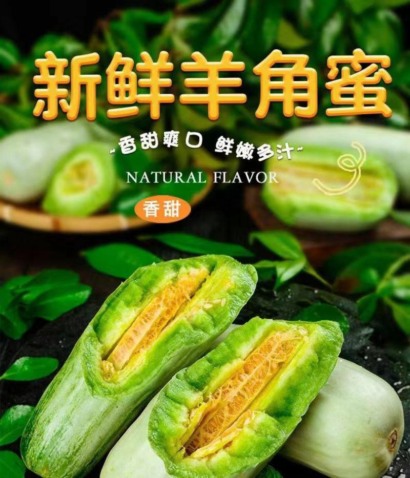新鲜羊角蜜，原产地大量有货，都是自己家种植，现摘现发