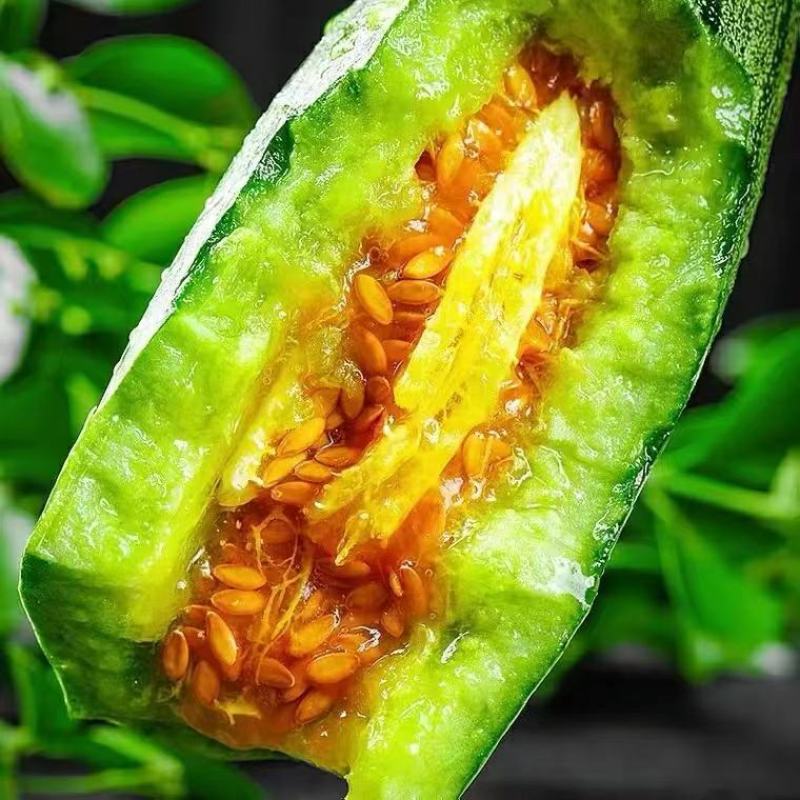 新鲜羊角蜜，原产地大量有货，都是自己家种植，现摘现发
