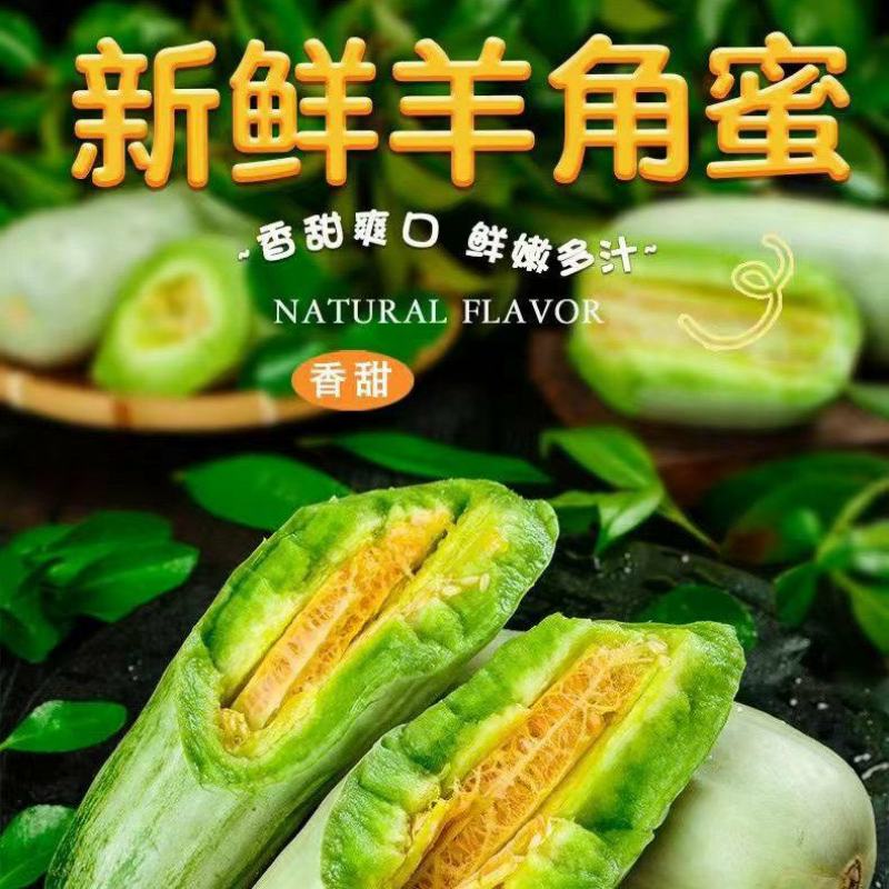 新鲜羊角蜜，原产地大量有货，都是自己家种植，现摘现发