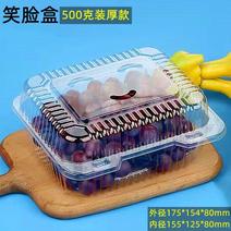 一次性水果盒子长方形带孔透明果蔬保鲜盒一斤打包盒子草莓包