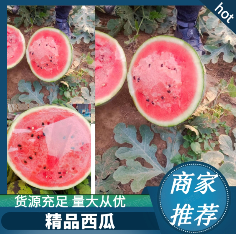 安丘市红沙沟精品双星甜王西瓜大量上市欢迎各地客商咨询