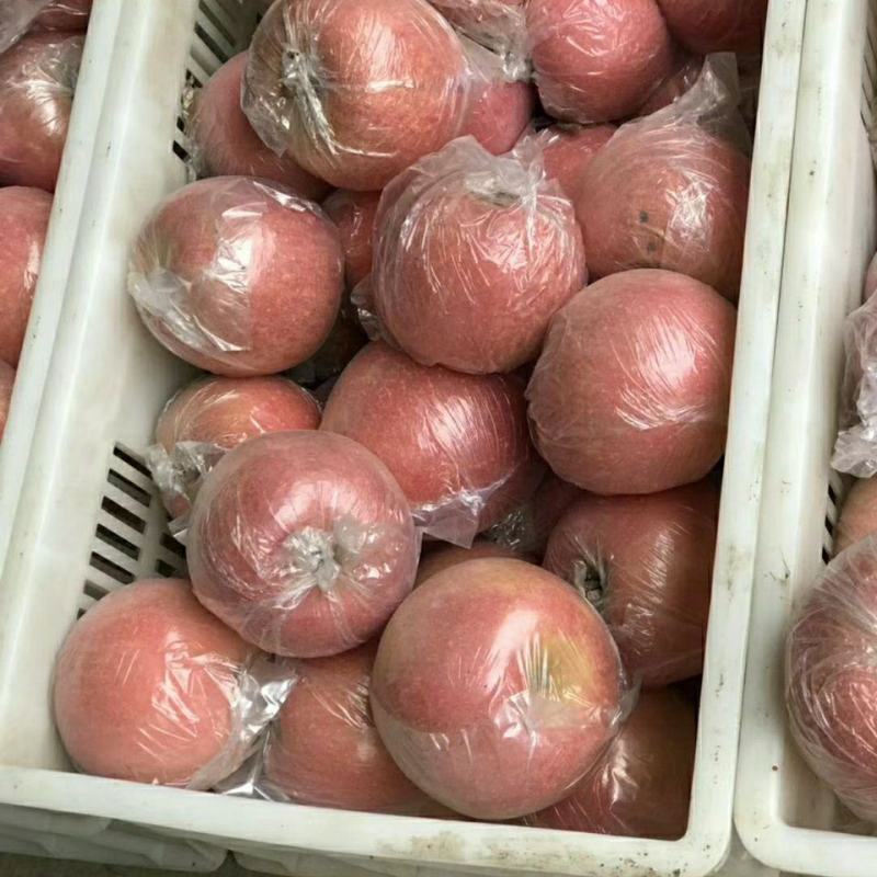 陕西膜袋红富士苹果，产地直发，味道甜美汁水充盈甜度高