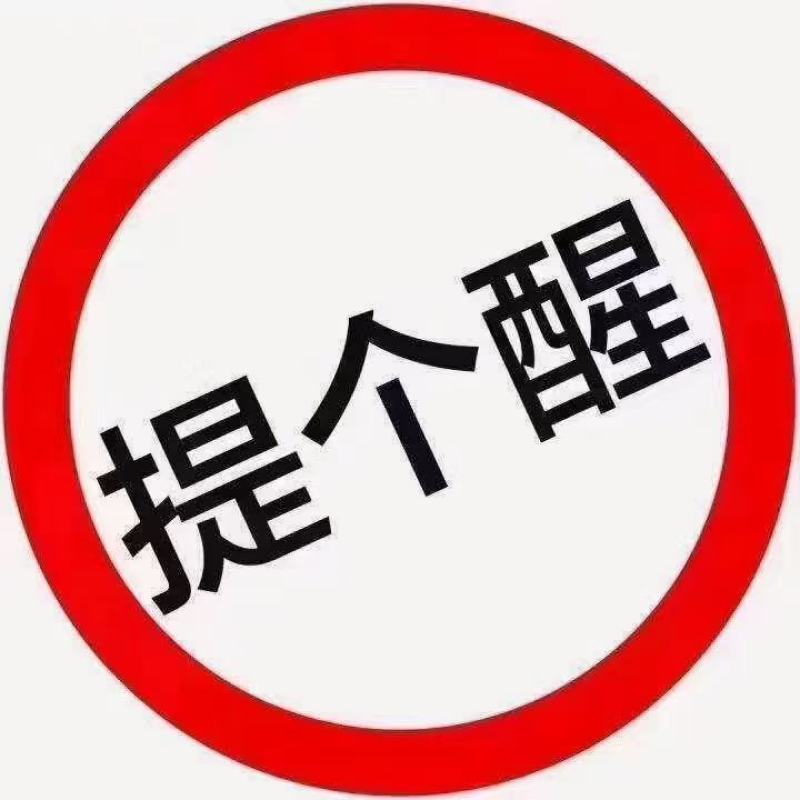 精品暖棚香菜