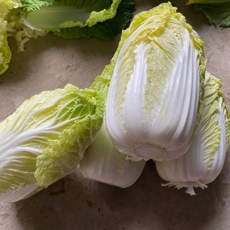 云南高山娃娃菜