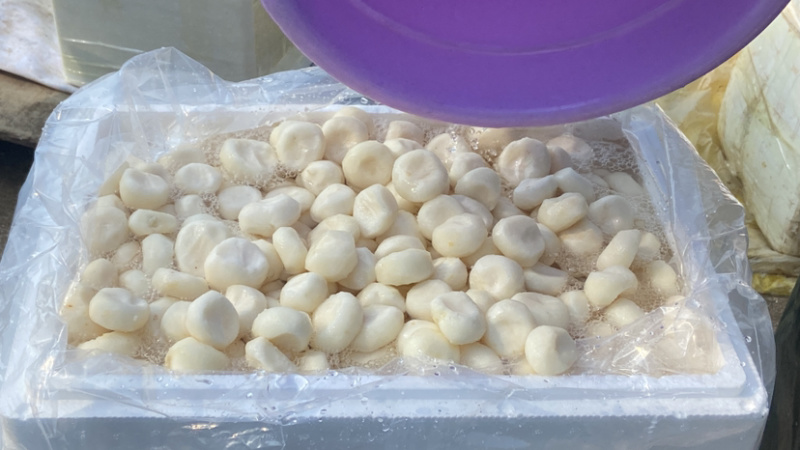 广西桂林荔浦水果马蹄泡沫箱加冰水打包让顾客更加放心购买