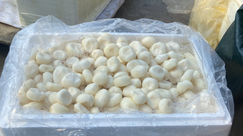 广西桂林荔浦水果马蹄泡沫箱加冰水打包让顾客更加放心购买